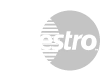 maestro-logo